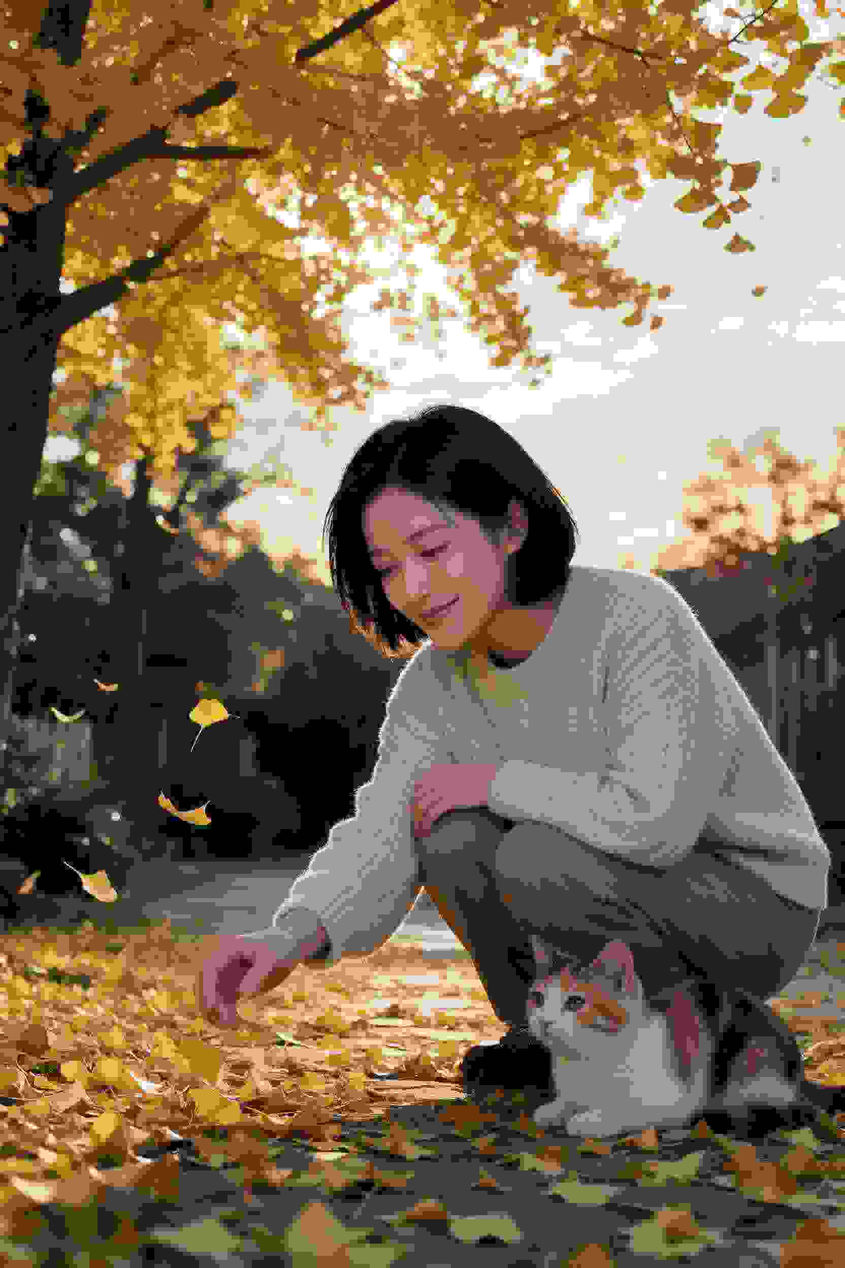 谍网风云